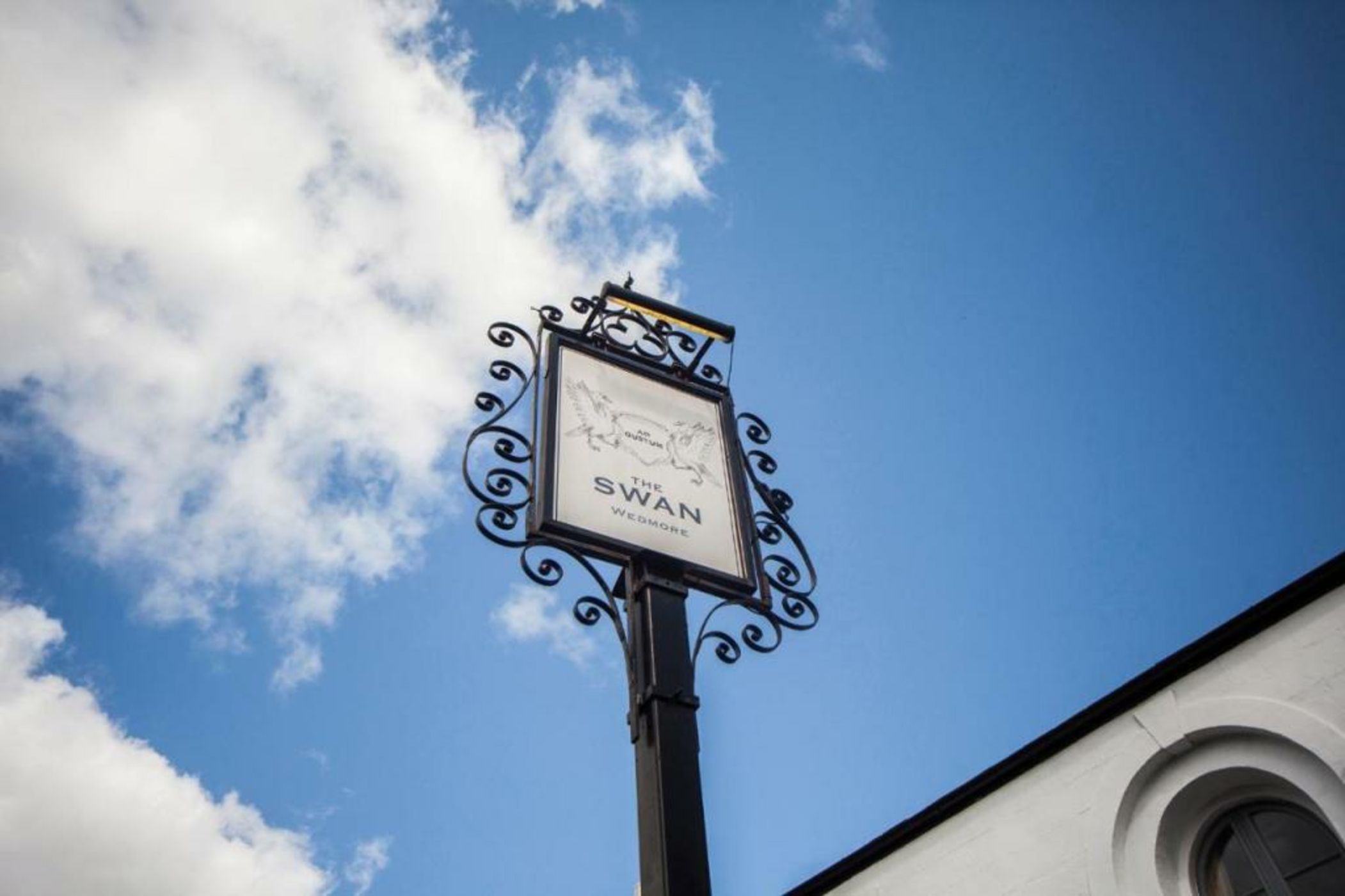 The Swan