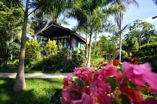 Sunset at the Palms Resort - Adults Only - All Inclusive