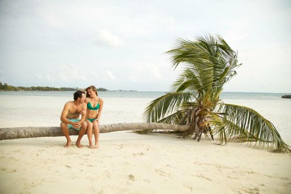 Green Turtle Club Resort & Marina