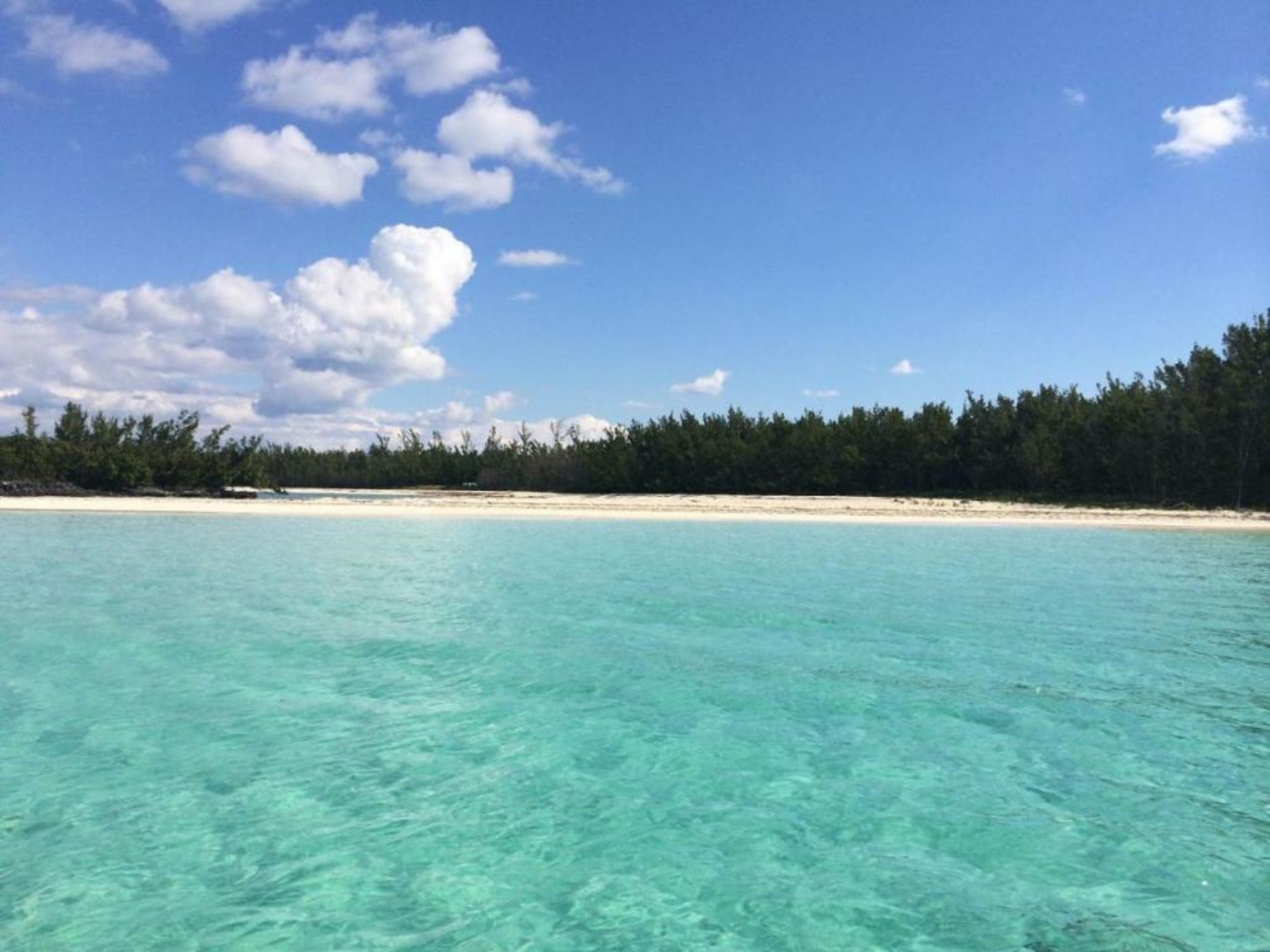 Green Turtle Club Resort & Marina