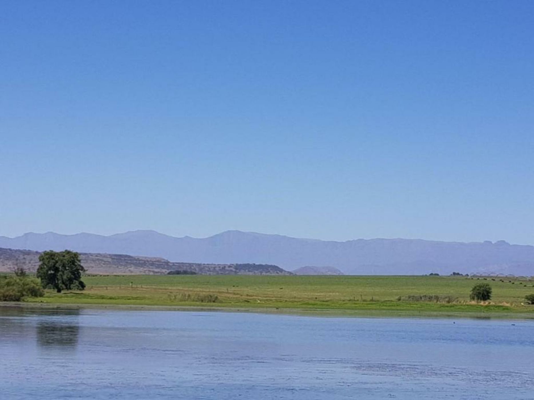 Dalmore Guest Farm