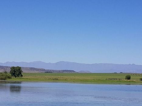 Dalmore Guest Farm