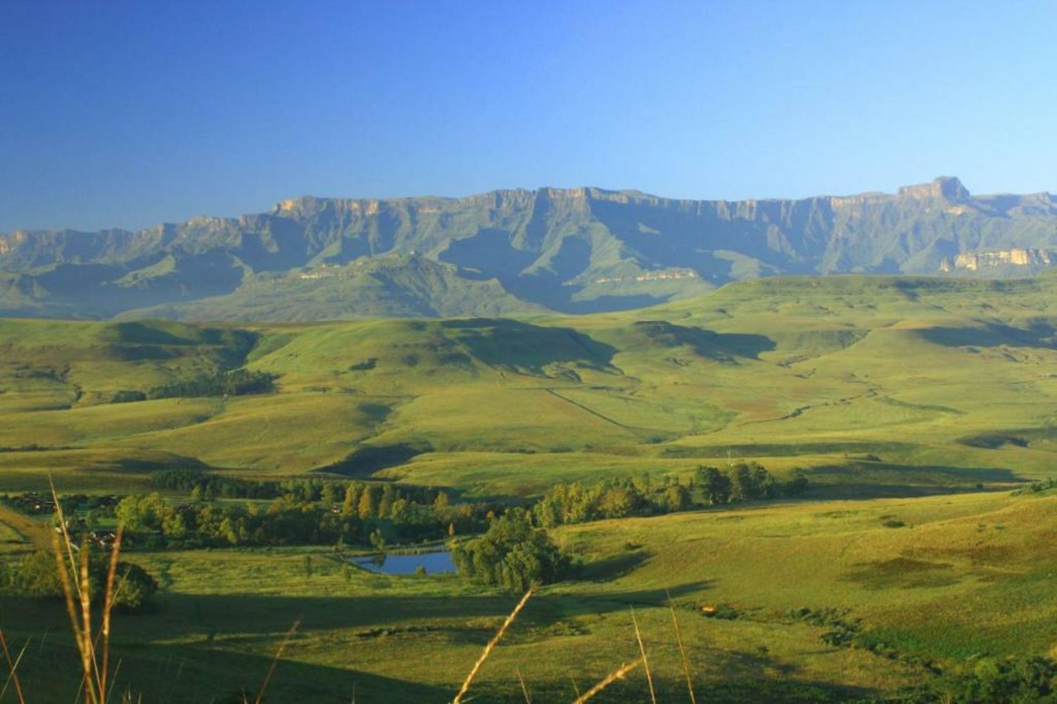 Montusi Mountain Lodge