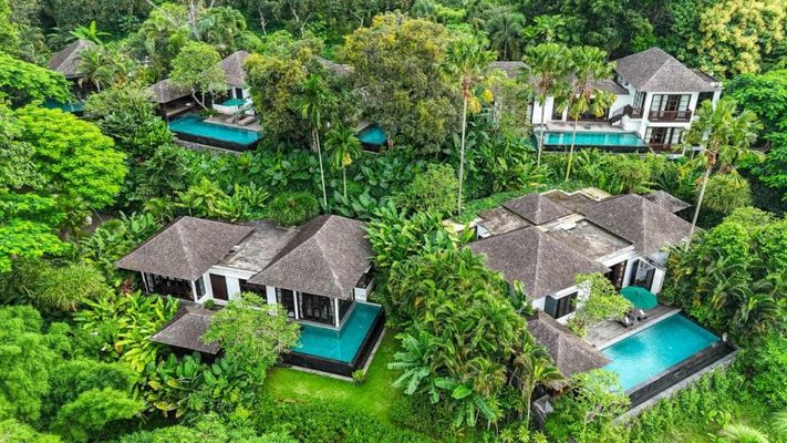 The Damai