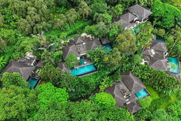 The Damai