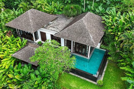 The Damai