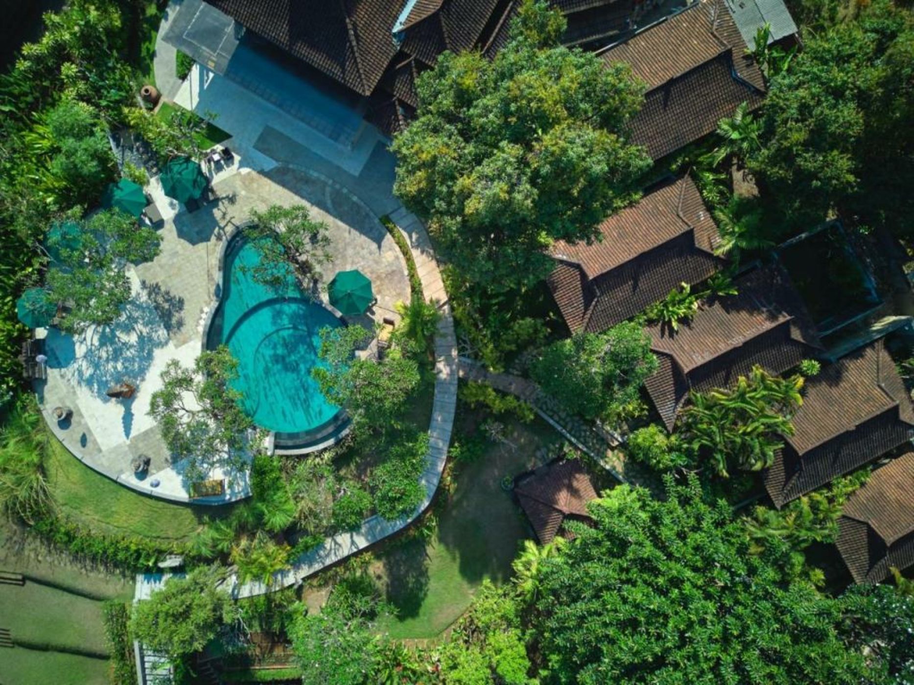The Damai