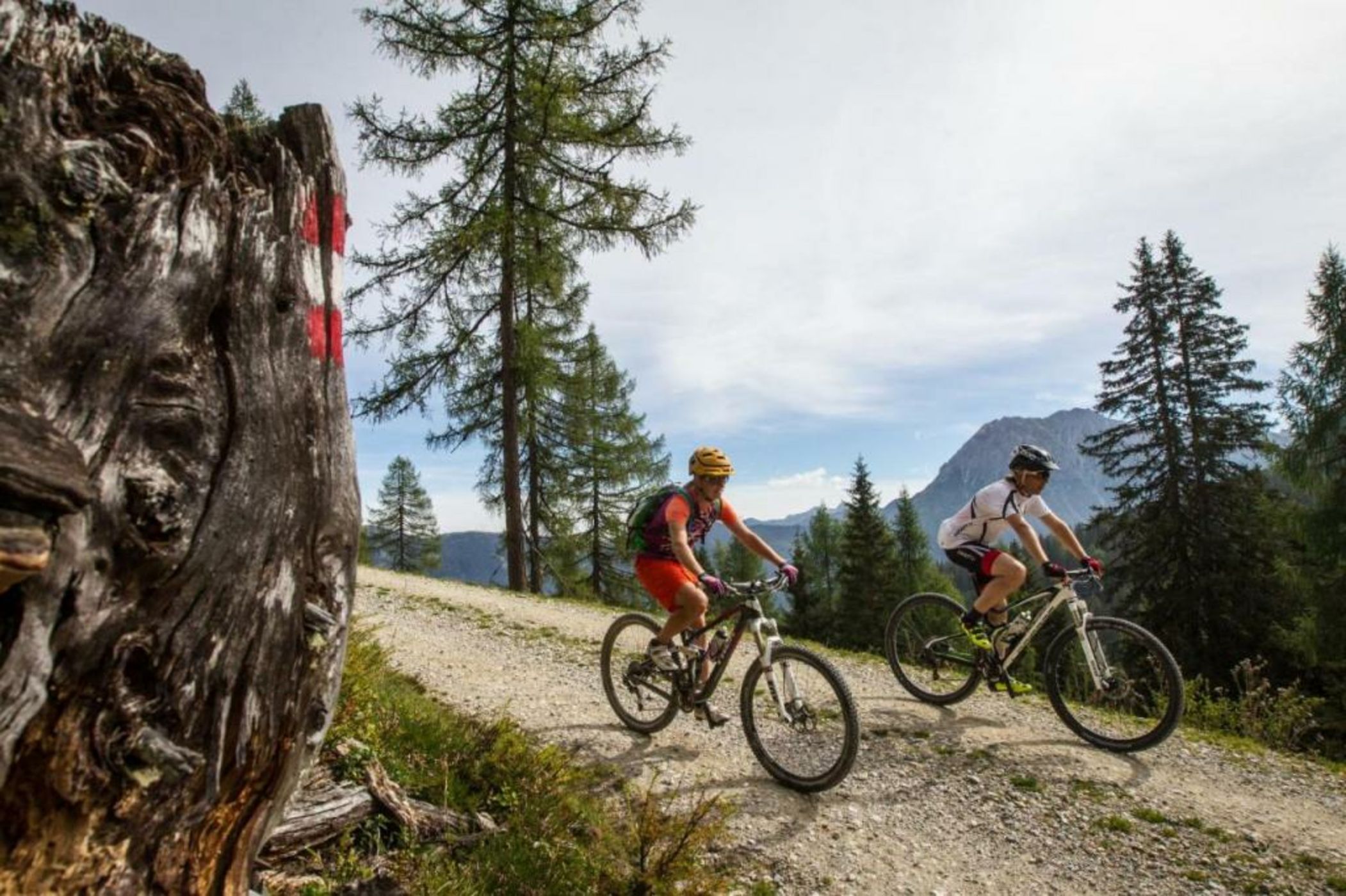 Naturhotel Edelweiss Wagrain