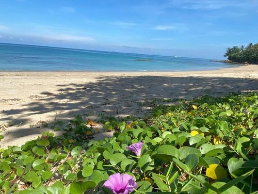 Lanta Palace Beach Resort & Spa - Adult Only