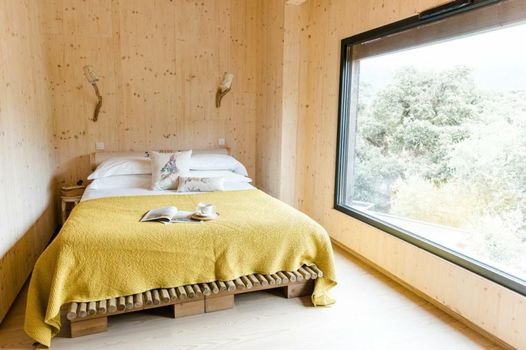 The Nest by Cooking and Nature