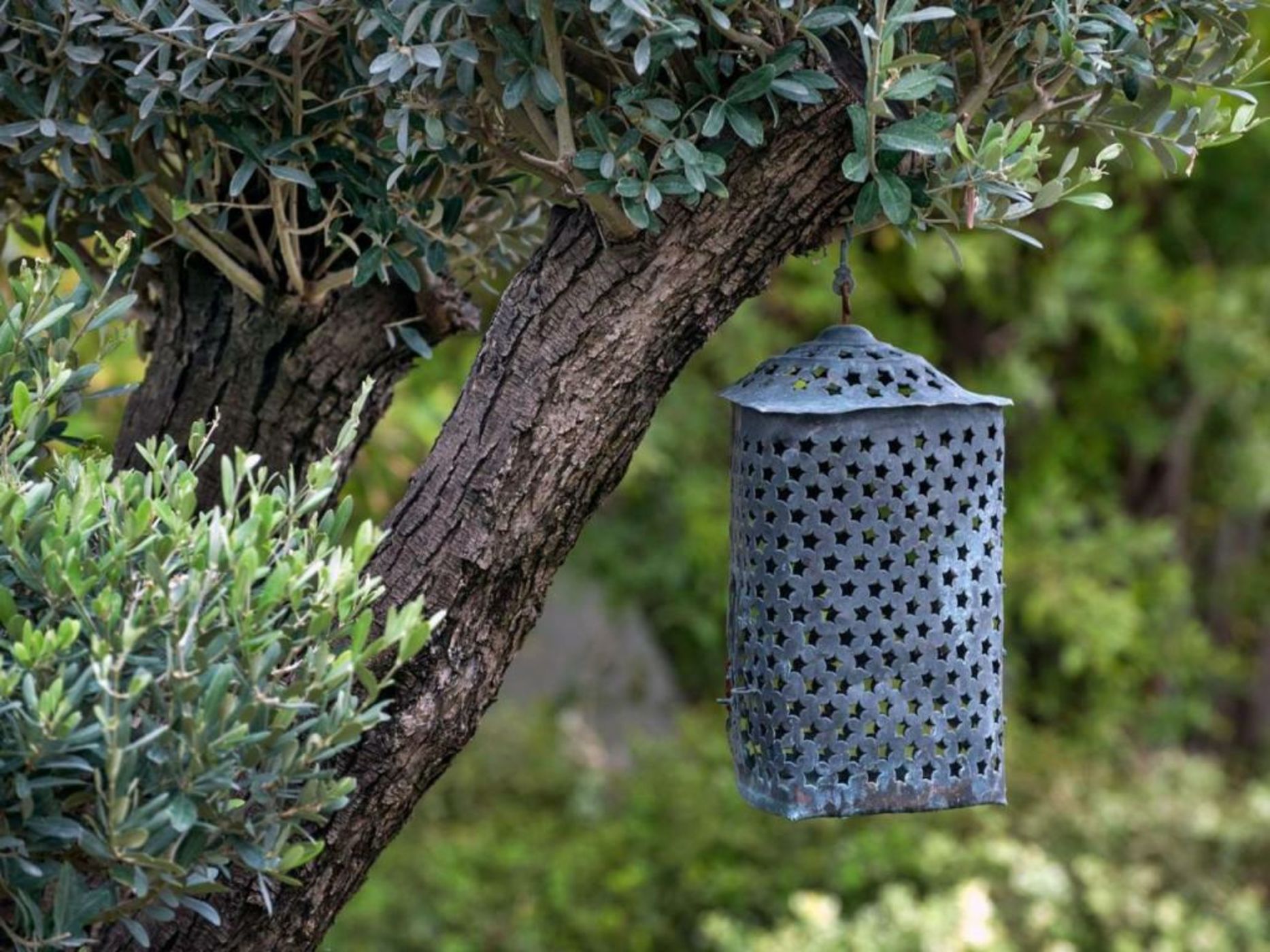Ev Bharat Butique Hotel, Alaçatı