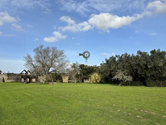 Quinta Do Scoto