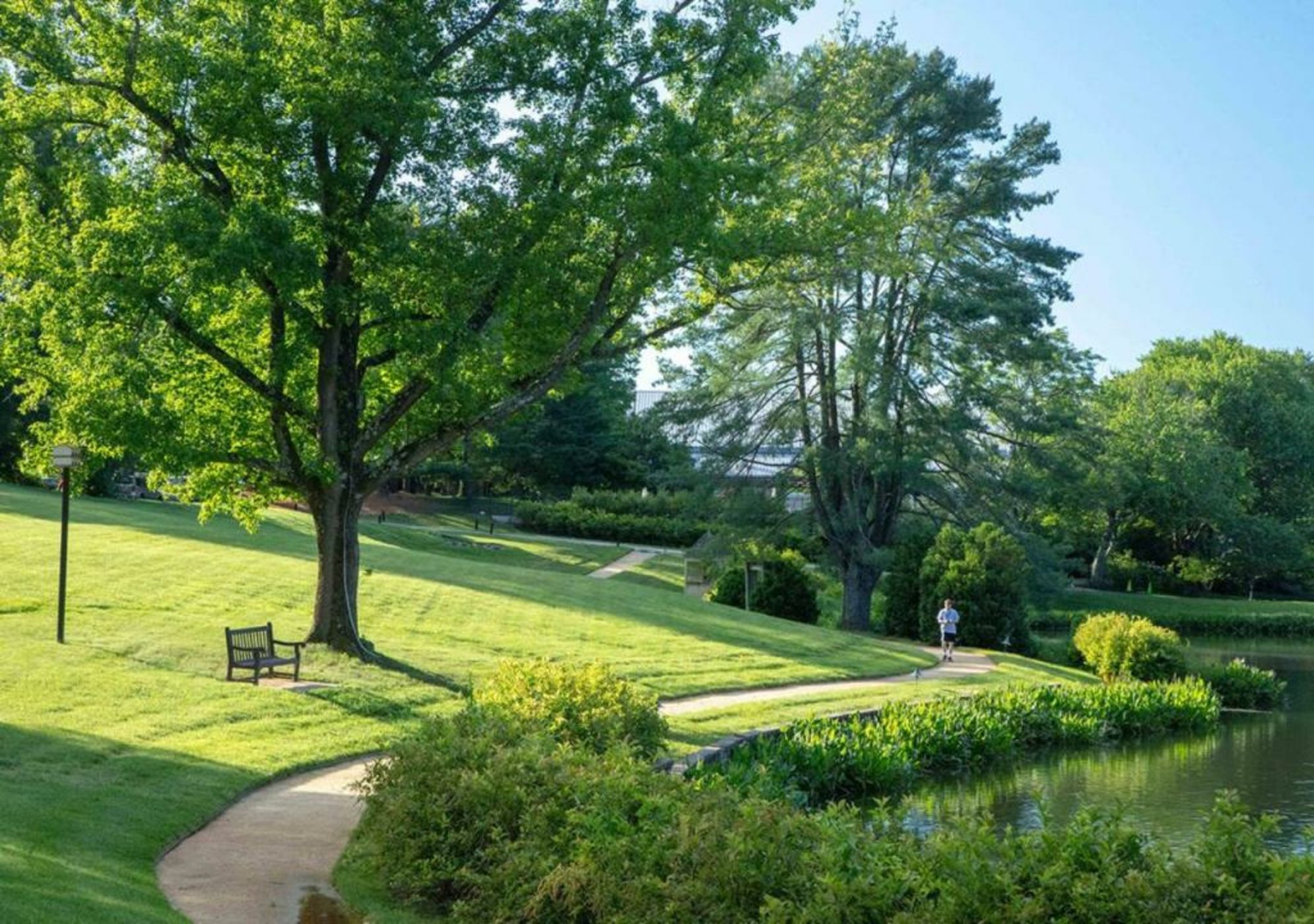 Boar's Head Resort