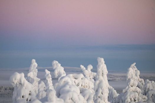 Ruka Peak - Boutique Hotel & Restaurant