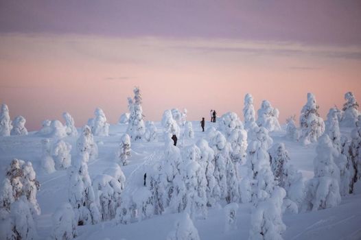 Ruka Peak - Boutique Hotel & Restaurant