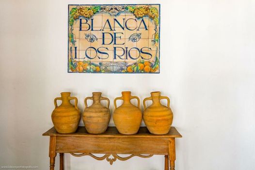 Cortijo El Indiviso