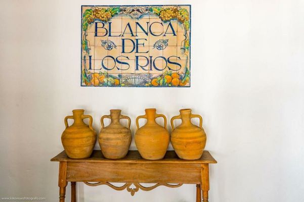 Cortijo El Indiviso
