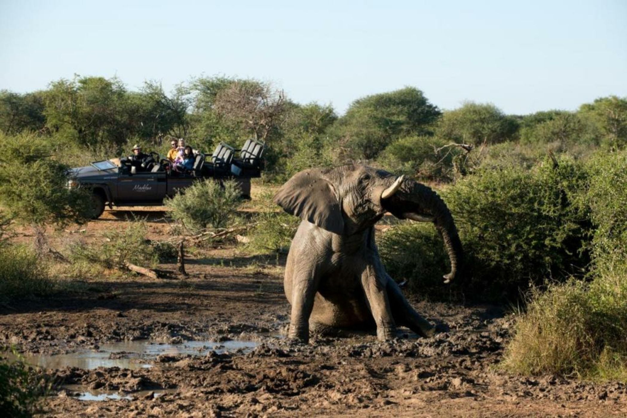 Madikwe Safari Lodge