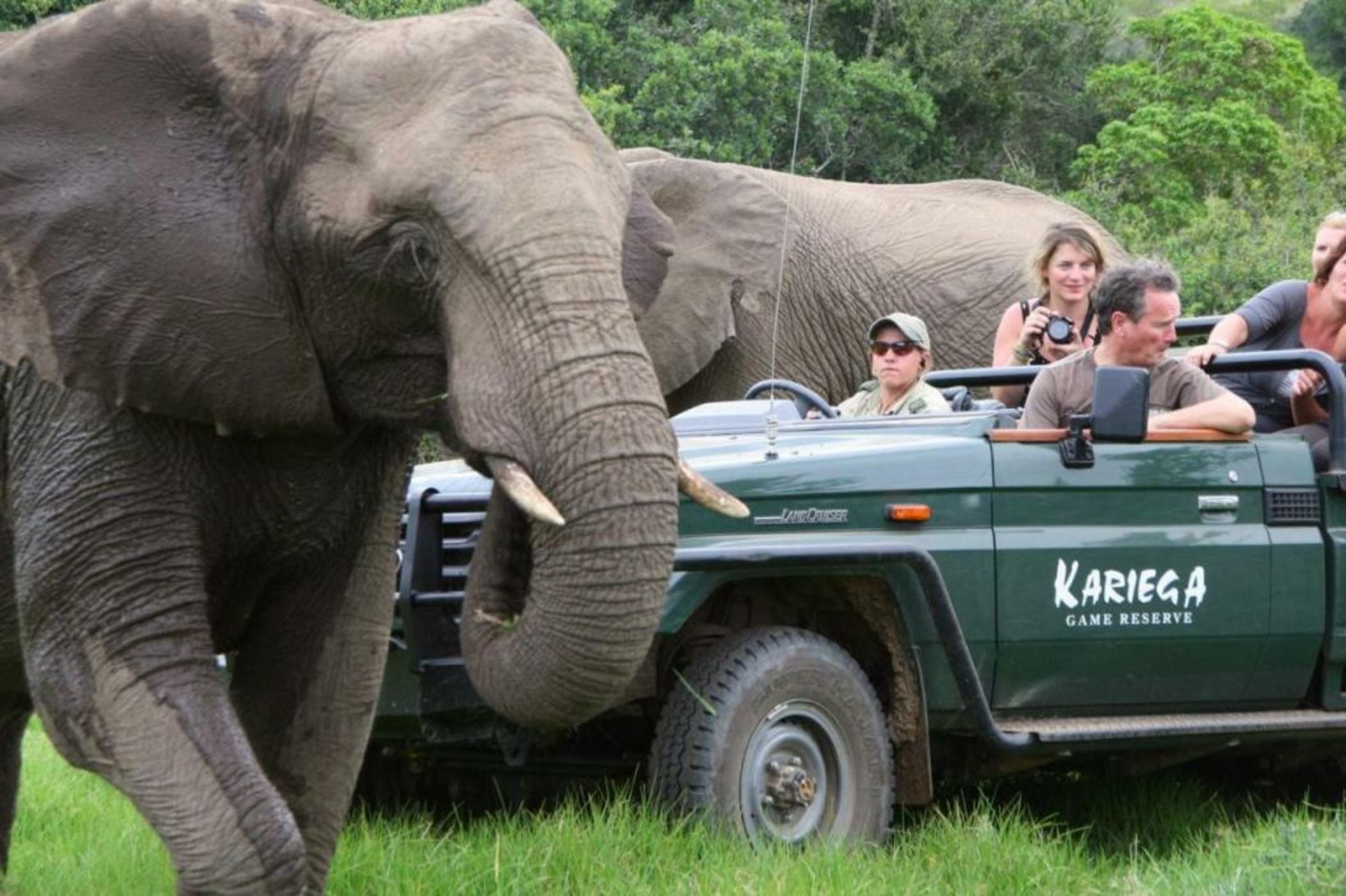 Kariega Game Reserve River Lodge