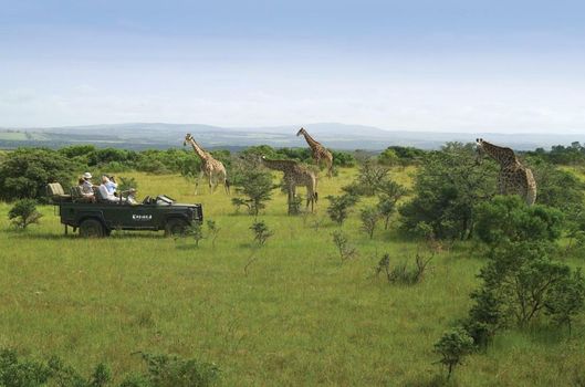 Kariega Game Reserve River Lodge