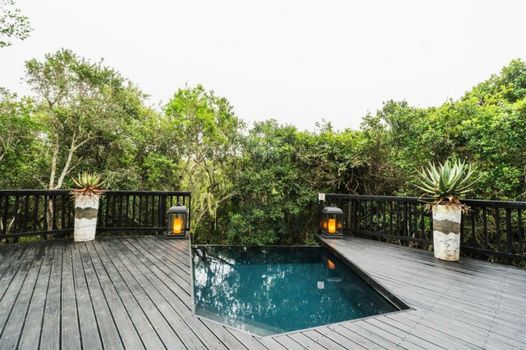 Lalibela Wildlife Reserve - Kichaka Lodge