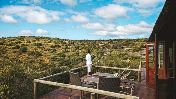 Bukela Game Lodge - Amakhala Game Reserve