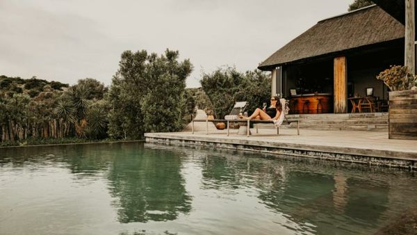 Bukela Game Lodge - Amakhala Game Reserve