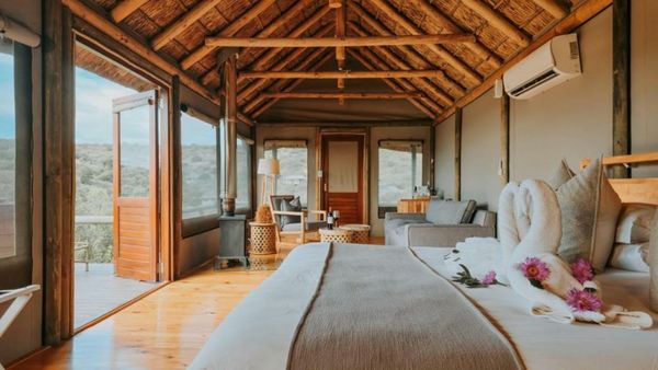 Bukela Game Lodge - Amakhala Game Reserve