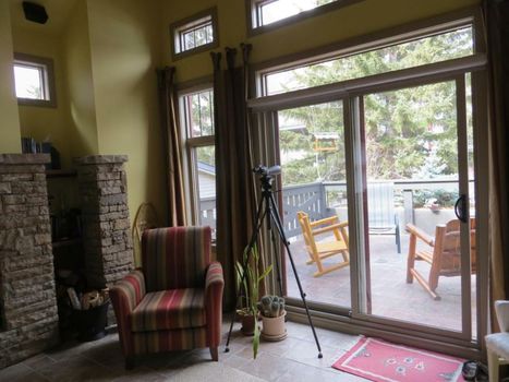 Buffaloberry Bed & Breakfast