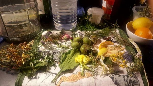 La Rectoria De Sant Miquel De Pineda