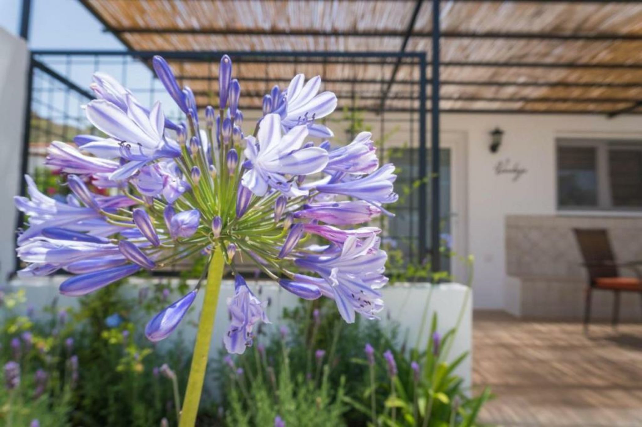 Boutique Hideaway Cortijo El Sarmiento