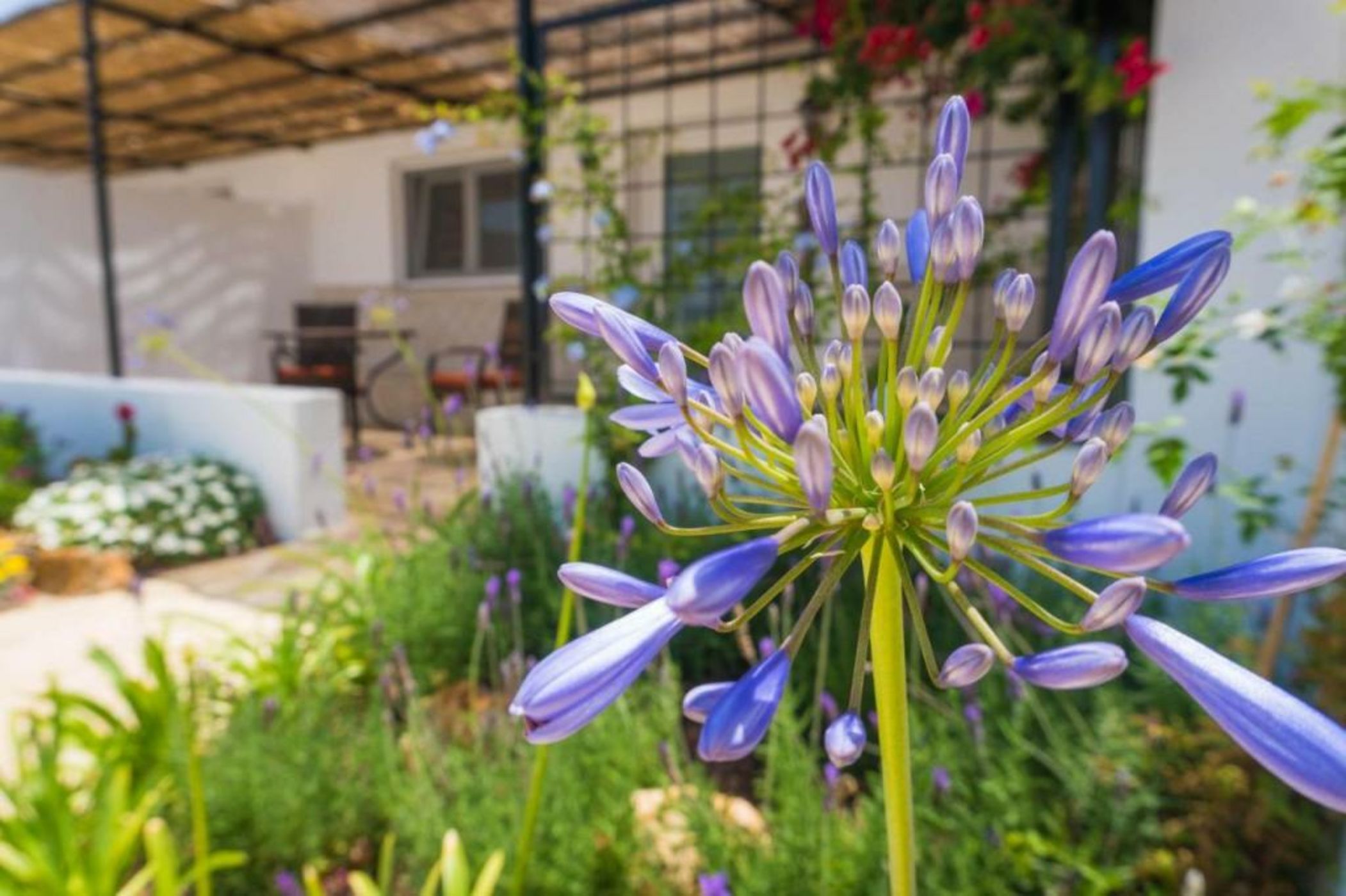 Boutique Hideaway Cortijo El Sarmiento