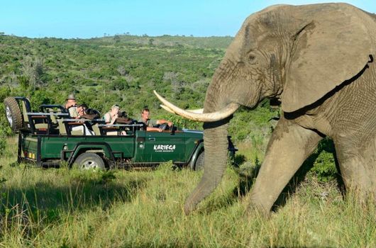 Kariega Game Reserve Main Lodge