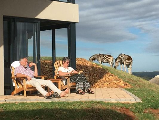 Jbay Zebra Lodge