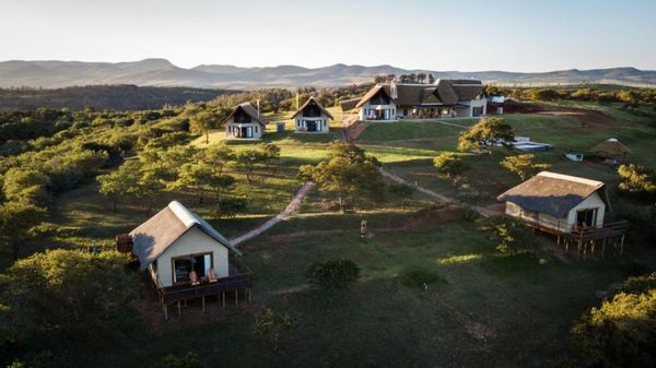 Jbay Zebra Lodge