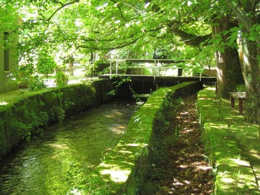 Jardin de Carrejo
