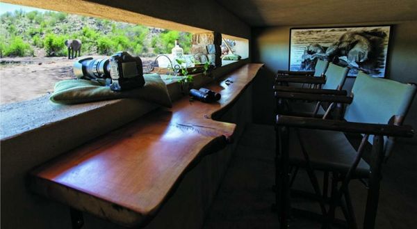 Tuningi Safari Lodge