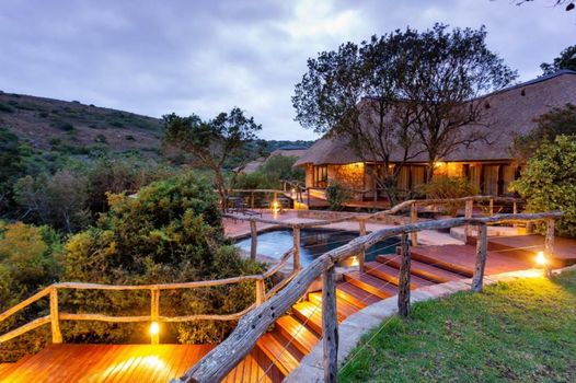 Lalibela Wildlife Reserve - Mark's Camp Family Lodge