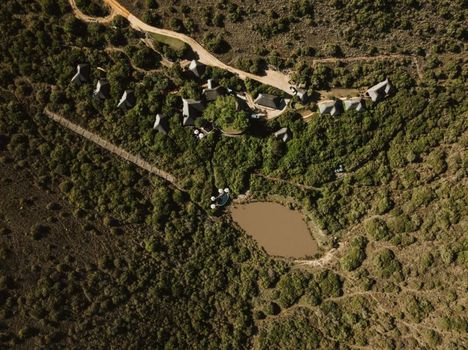 Lalibela Wildlife Reserve - Mark's Camp Family Lodge