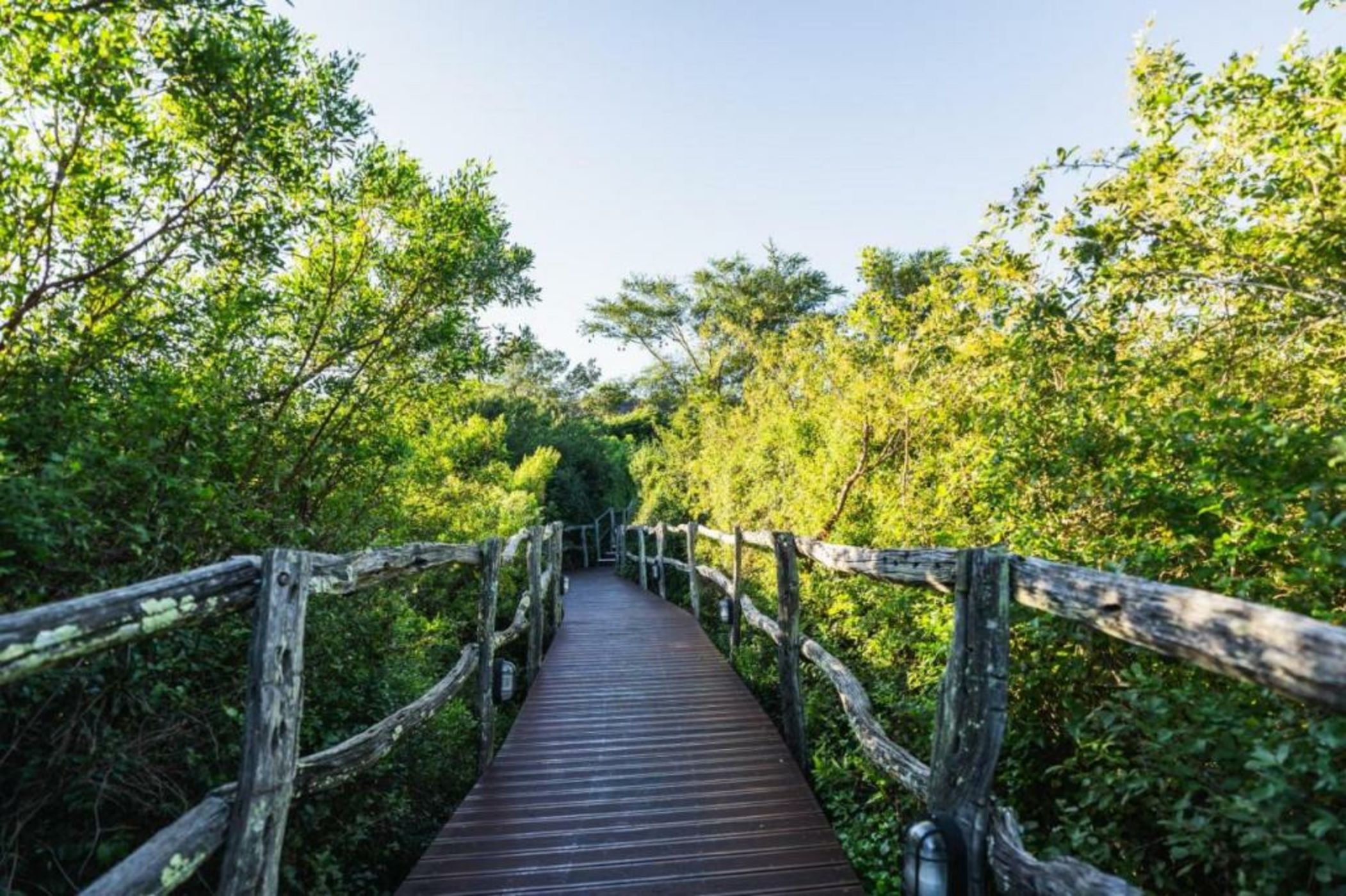 Lalibela Wildlife Reserve - Mark's Camp Family Lodge