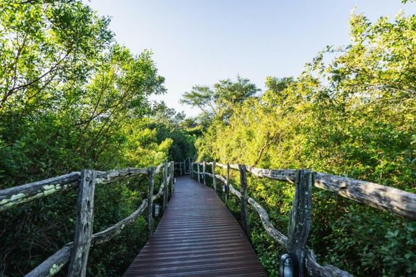 Lalibela Wildlife Reserve - Mark's Camp Family Lodge