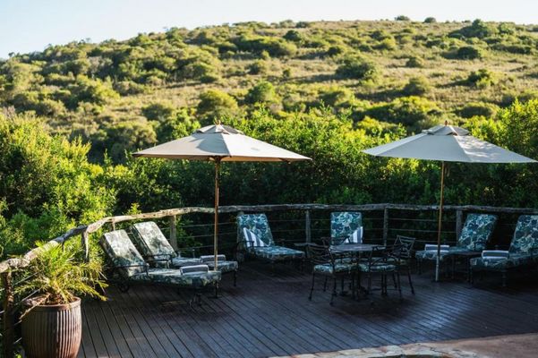 Lalibela Wildlife Reserve - Mark's Camp Family Lodge