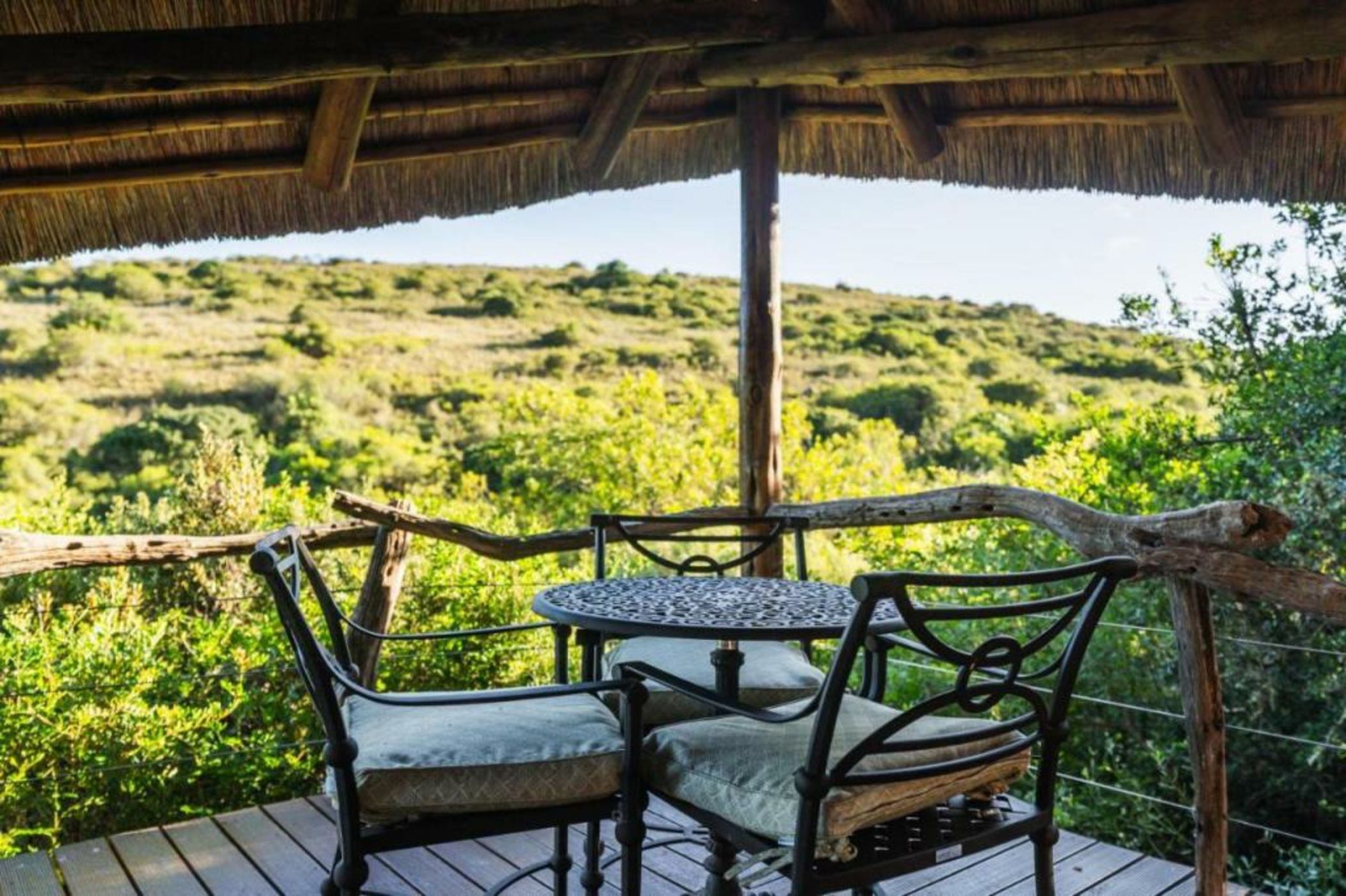 Lalibela Wildlife Reserve - Mark's Camp Family Lodge