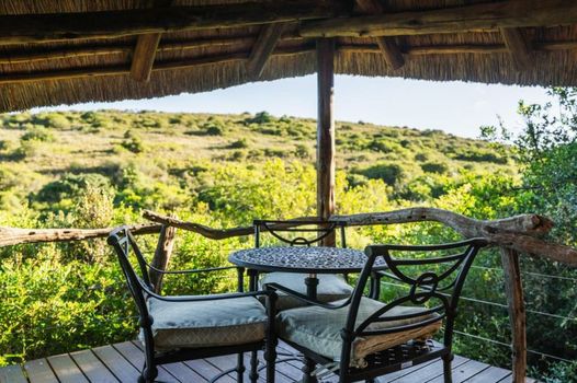 Lalibela Wildlife Reserve - Mark's Camp Family Lodge