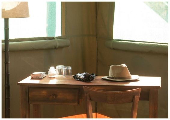 Timbavati Safari Lodge