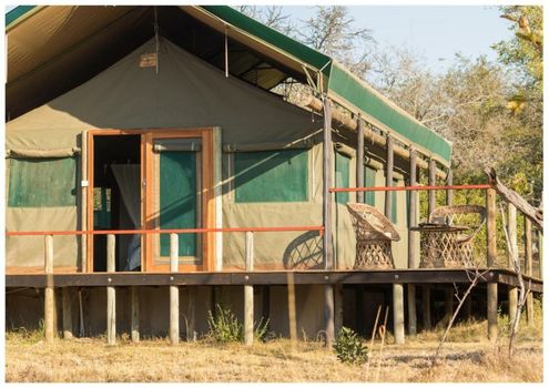 Timbavati Safari Lodge