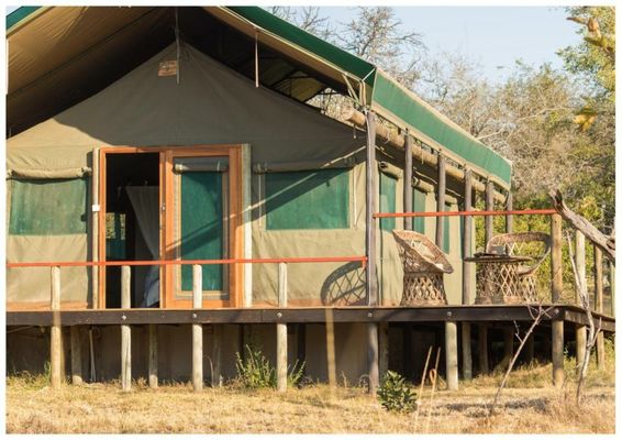 Timbavati Safari Lodge