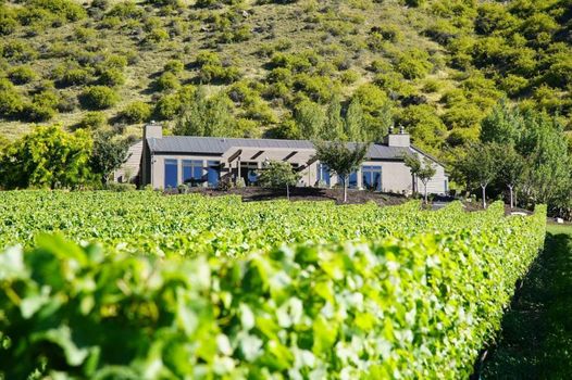 Mt Rosa Lodge Boutique Vineyard Accommodation