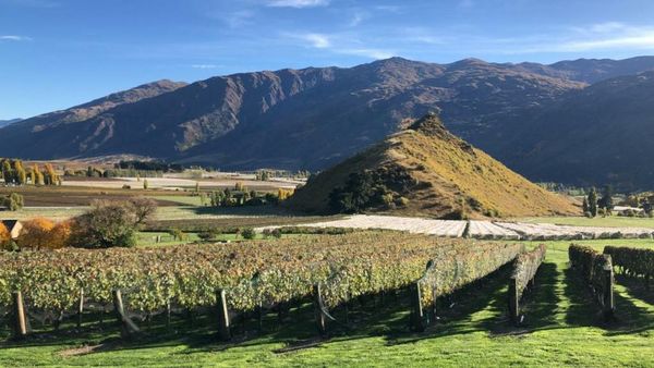 Mt Rosa Lodge Boutique Vineyard Accommodation