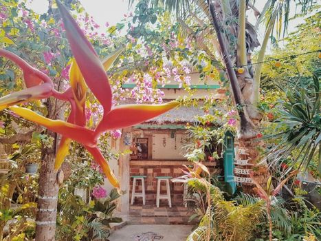 Havana Hideaway